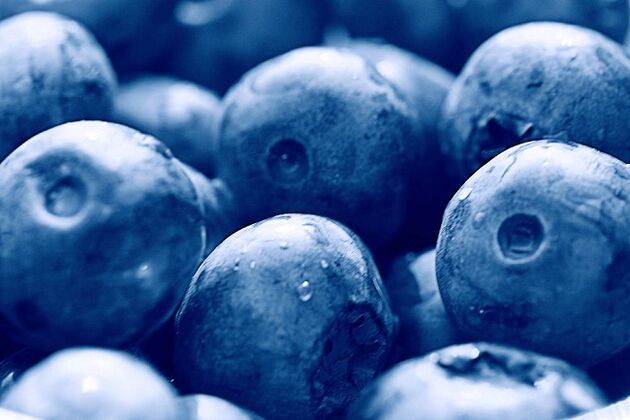 blueberries para sa ketogenic diet